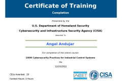 100W-Cybersecurity-Practices-CISA-2022-12-23_1